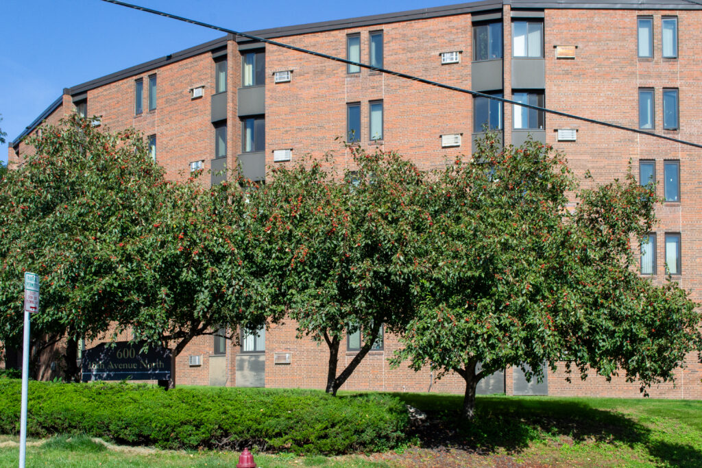 Lyndale Manor